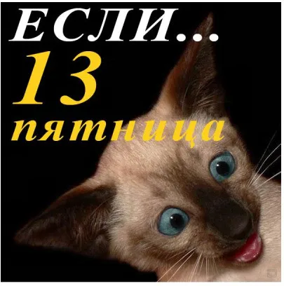 Открытка Открытки на пятницу 13 - Забавная открытка с котенком: смешное фото для поздравлений | Красивая открытка #173