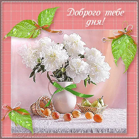 Открытка Хорошего вечера - Открытка с пионами и фруктами | Красивая открытка #44