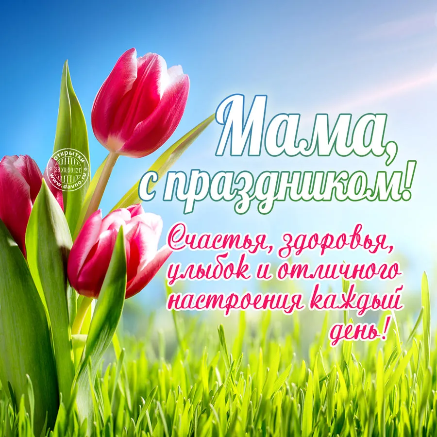 Открытка С днем матери - Открытка "Мама, с праздником!": нежные тюльпаны | Красивая открытка #11
