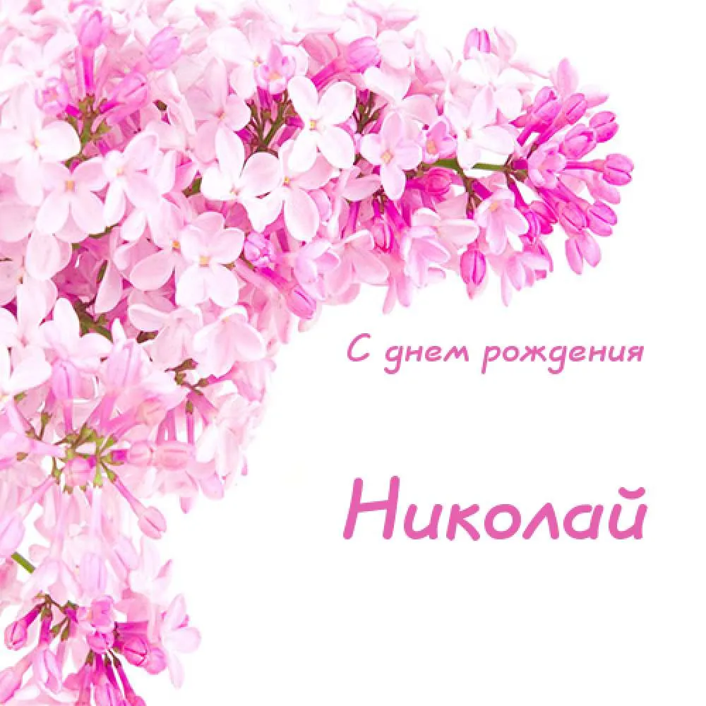 Открытка Открытки с именем Николай   - Цветы сирени. Открытка с днем рождения. | Красивая открытка #208