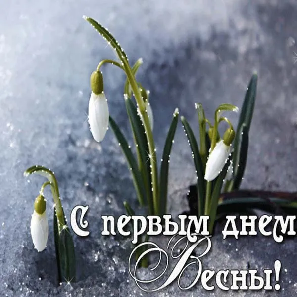 Открытка Первый день весны - Подснежники на снегу: открытка с весной | Красивая открытка #192