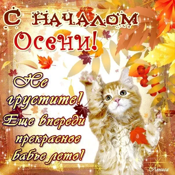 Открытка С первым днём осени - Котенок на осенней открытке  С Днём рождения! | Красивая открытка #22