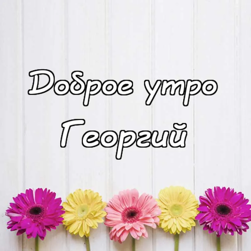 Открытка открытки с именем Георгий  - Букет гербер: нежные цветы для открытки | Красивая открытка #136