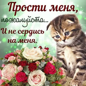 Открытка Прости - Котенок и розы: открытка с нежностью | Красивая открытка #3