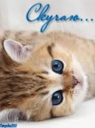 Открытка Открытки скучаю по тебе - Милый котенок: открытка с котенком, фото | Красивая открытка #213