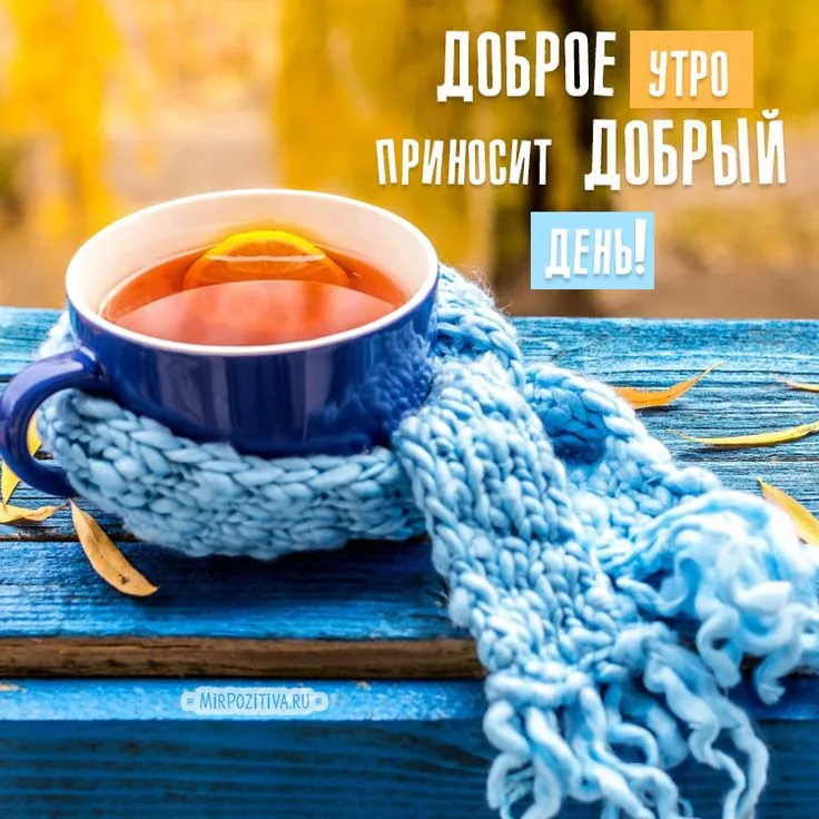 Открытка Открытки с добрым осенним утром - Утро: теплое кофе, уют и позитив  открытка! | Красивая открытка #44