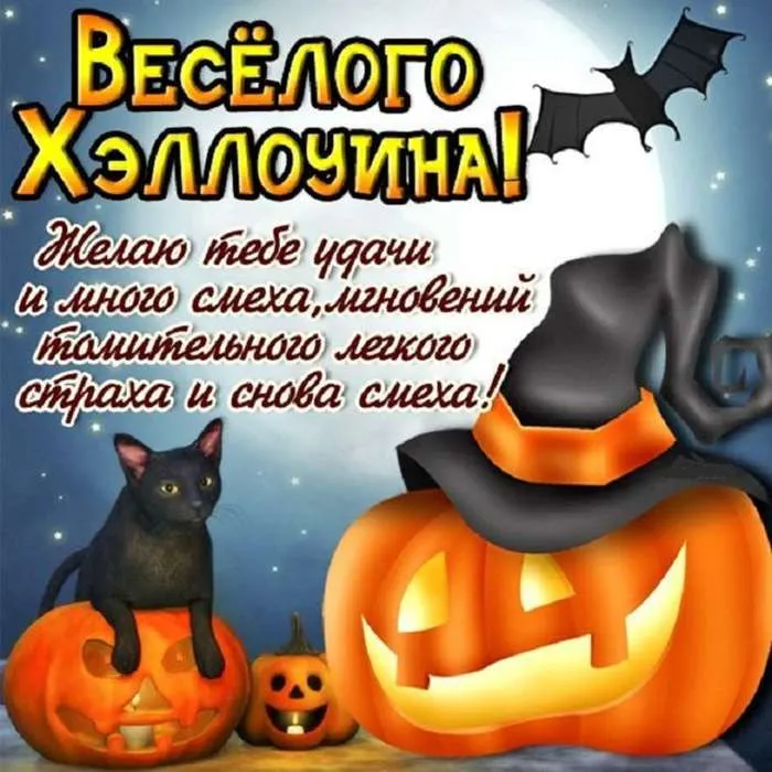 Открытка Хэллоуин - Тыквы и черные коты на Хэллоуин | Красивая открытка #100