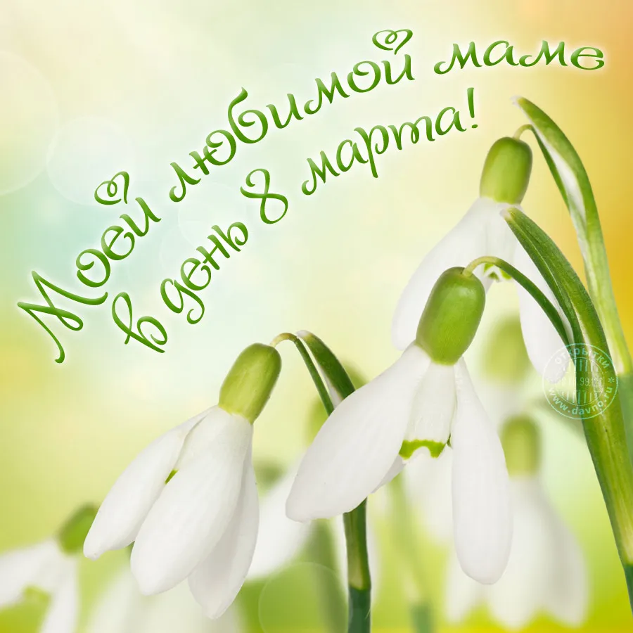Открытка открытки на 8 марта - Открытка с подснежниками  С Днём Мамы! | Красивая открытка #75