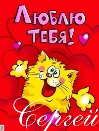 Открытка Открытки с именем Сергей - Открытка с котиком: С Днем Валентина! | Красивая открытка #193