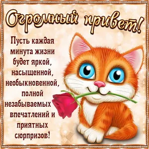 Открытка Привет - Открытка с рыжим котенком и розой | Красивая открытка #9