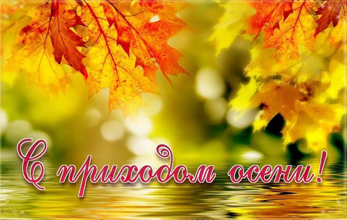 Открытка С первым днём осени - С новым годом! | Красивая открытка #54