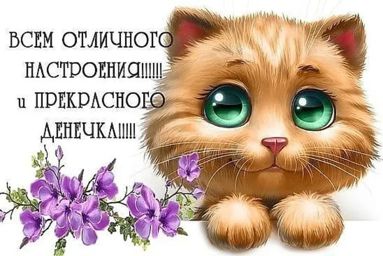 Открытка Хорошего дня - Открытка с милым котенком и фиалками | Красивая открытка #22