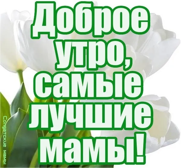Открытка Доброе утро - Открытка «Доброе утро, мамы!» | Красивая открытка #476