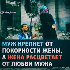 Открытка Отношения в семье - Муж дарит розу жене: нежность и любовь | Красивая открытка #53