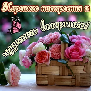 Открытка С вторником - Розовые розы в плетёной корзине: открытка | Красивая открытка #15