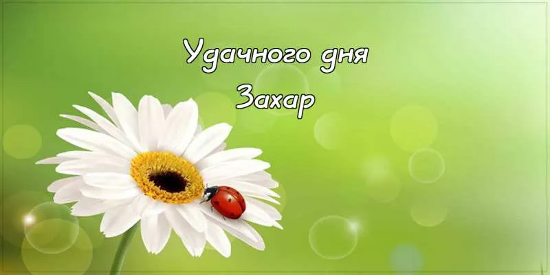 Открытка открытки с именем Захар - Белая ромашка с божьей коровкой - открытка | Красивая открытка #212