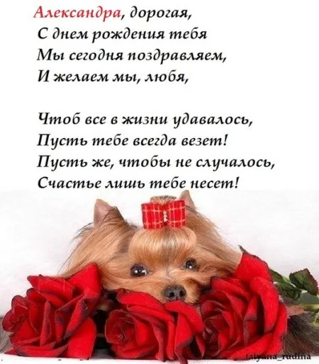 Открытка Открытки с именем Александра - Собака с розами: милая открытка с щенком | Красивая открытка #34