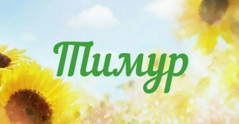 Открытка Открытки с именем Тимур - Открытка с подсолнухами  Солнечное поздравление | Красивая открытка #73