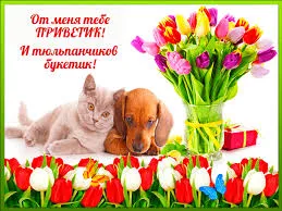 Открытка Привет - Открытка с котенком, щенком и тюльпанами | Красивая открытка #265