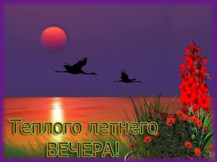 Открытка Добрый летний вечер - Теплого заката мгновения! | Красивая открытка #26