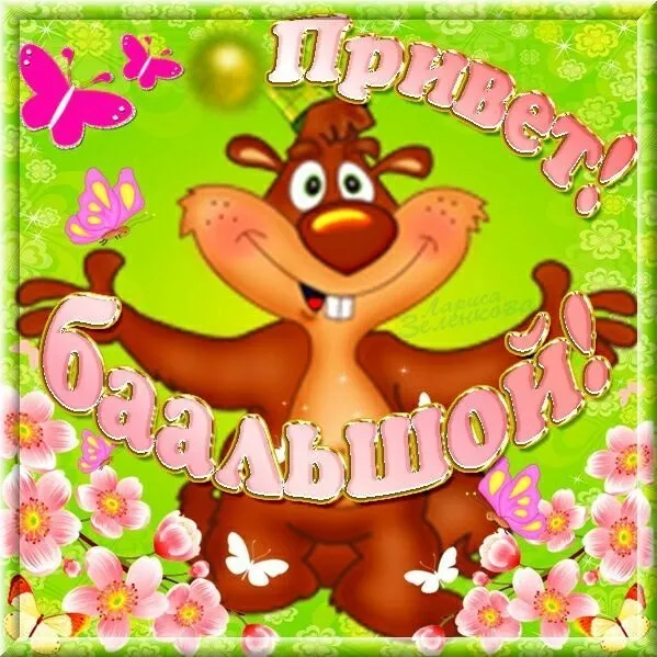 Открытка Привет - Открытка с милым котиком и цветами | Красивая открытка #314