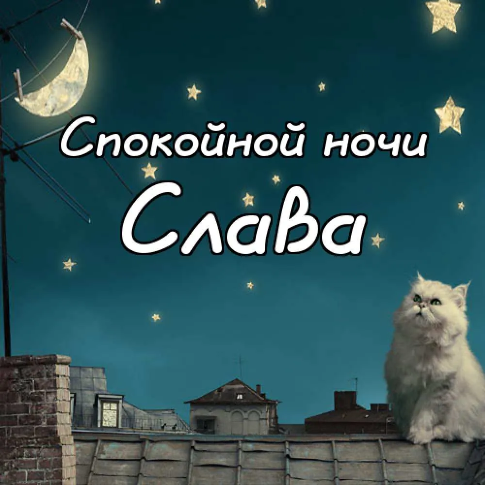 Открытка открытки с именем Вячеслав - Котенок на крыше, ночная открытка, луна | Красивая открытка #88