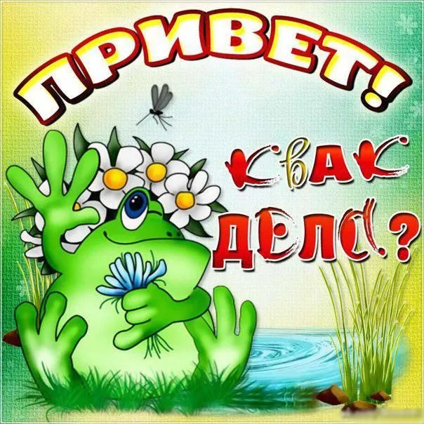 Открытка Привет - Открытка с лягушонком и цветами | Красивая открытка #281