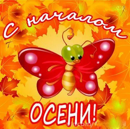 Открытка Первый день осени - Открытка с бабочкой: С Днем Осени! | Красивая открытка #50