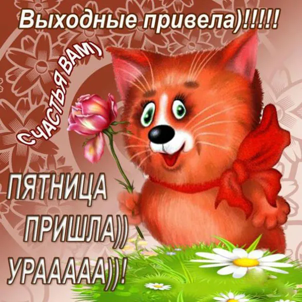 Открытка Хорошей пятницы - Котенок с цветком: Открытка с милым сюрпризом | Красивая открытка #7