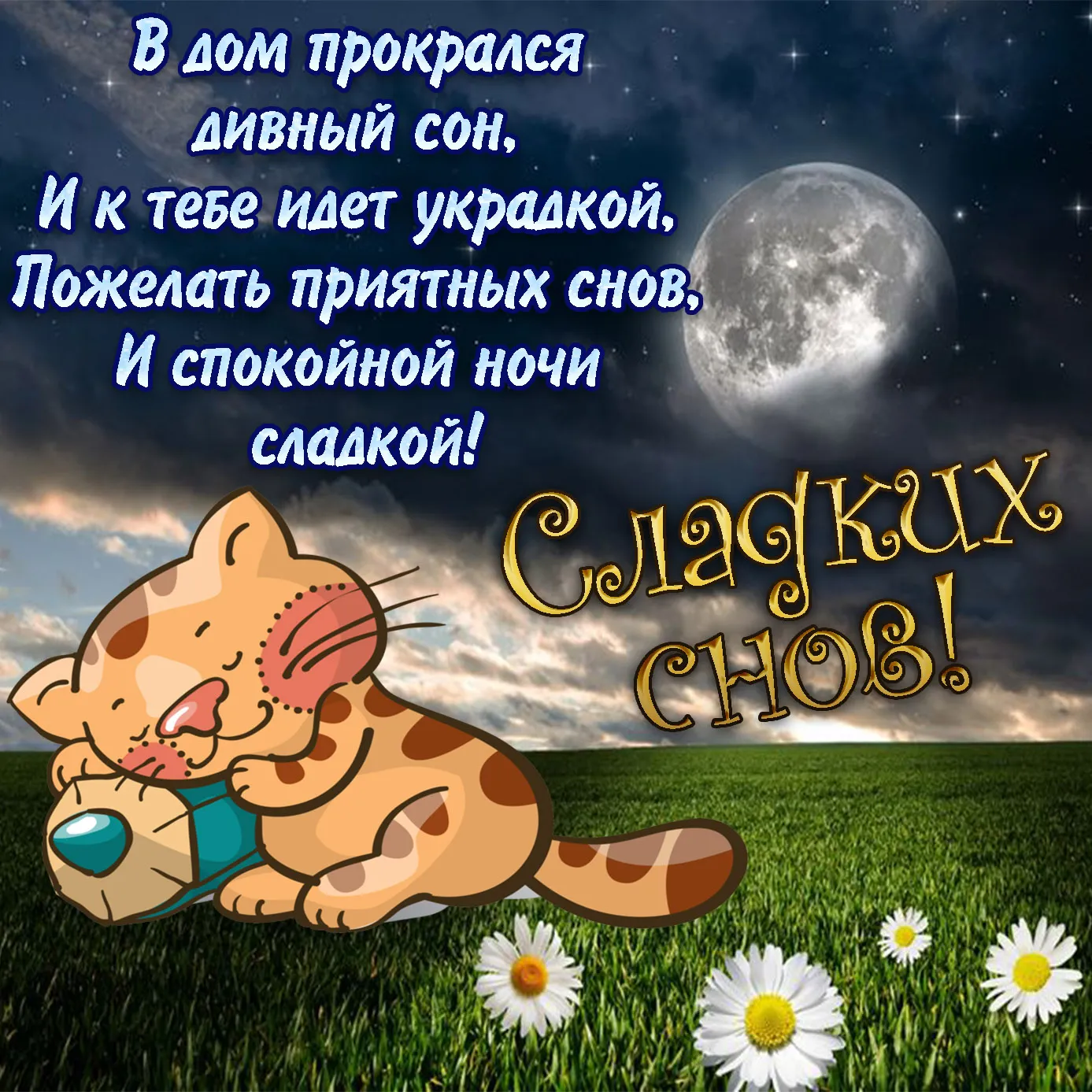 Открытка Спокойной ночи - Сладких снов с милым котиком! | Красивая открытка #112