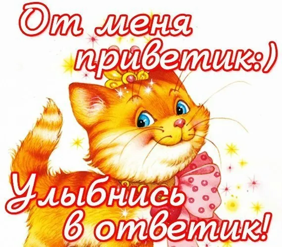 Открытка Улыбнись - Открытка с рыжим котенком с бантиком | Красивая открытка #87
