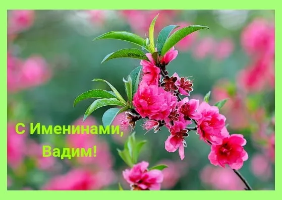 Открытка открытки с именем Вадим - Открытка с цветущей вишней - С Днем Рождения! | Красивая открытка #78