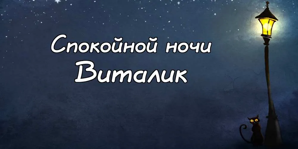 Открытка открытки с именем Виталий - Открытка с котиком и фонарем  Ночная сказка | Красивая открытка #133