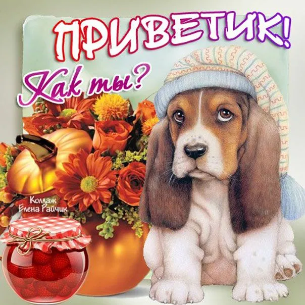 Открытка Привет - Собака с банкой варенья и цветами  Открытка | Красивая открытка #92