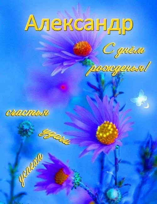 Открытка открытки с именем Александр - Открытка с цветами: сиреневый фон, желтые и розовые акценты | Красивая открытка #214