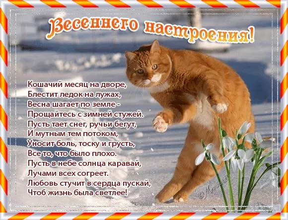 Открытка времена года - Котенок на снегу: весеннее настроение и светлая открытка | Красивая открытка #16