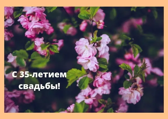 Открытка Открытки на Коралловую свадьбу 35 лет - Цветущая вишня: открытка с юбилеем свадьбы | Красивая открытка #52