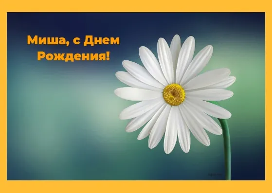 Открытка Открытки с именем Михаил  - Открытка с ромашкой: Нежность и красота | Красивая открытка #231