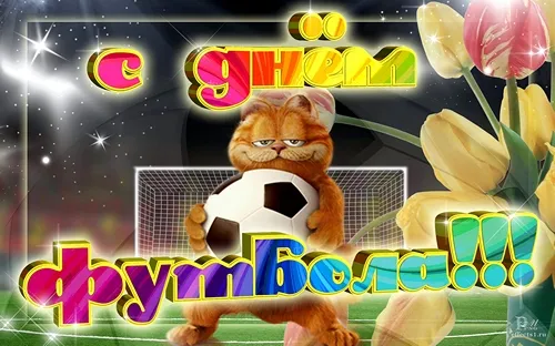 Открытка Открытки на Всемирный день футбола - Открытка с котиком в футболке и мячом | Красивая открытка #34