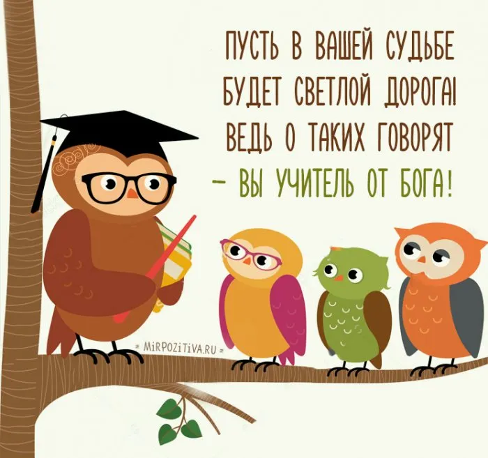 Открытка С днем рождения учитель - Открытка с совами - добрый утренний привет | Красивая открытка #40