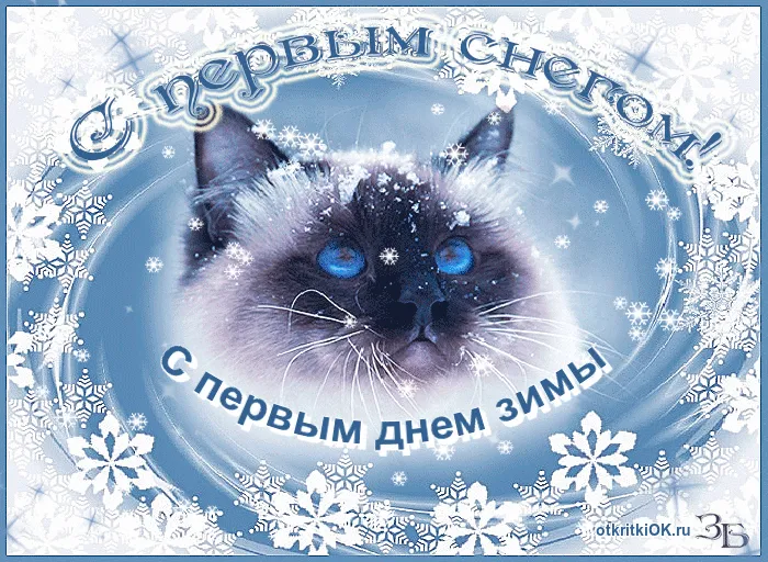 Открытка открытки с первым днем зимы  - С Днем Снега: Открытка с Котиком и Снегом | Красивая открытка #104