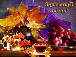 Открытка Первый день осени - Осенняя открытка с рябиной и виноградом. | Красивая открытка #162
