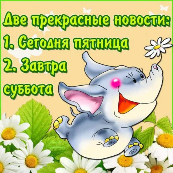 Открытка Открытки на пятницу - Открытка с милым слонёнком и цветами | Красивая открытка #235