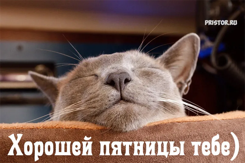 Открытка Пятница - Спящий котенок: милая открытка с котиком | Красивая открытка #41