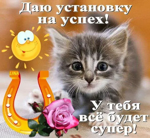 Открытка Открытки все будет хорошо - Открытка с котенком, подковы и розой | Красивая открытка #96