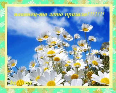 Открытка С первым днём лета - Полевые цветы на фоне голубого неба | Красивая открытка #24