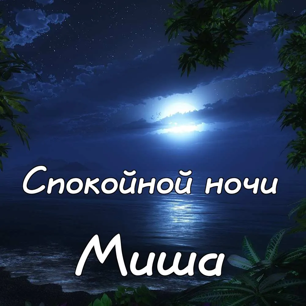 Открытка Открытки с именем Михаил  - Ночная открытка: море, луна, пальмы | Красивая открытка #85