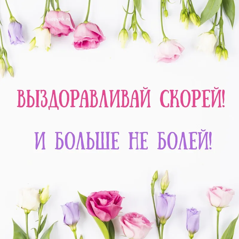 Открытка Выздоравливай - Открытка с цветами: розовые и фиолетовые розы и лилии | Красивая открытка #120