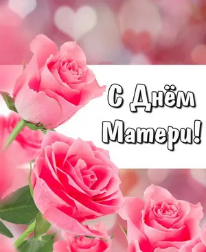 Открытка День матери - Розовые розы на открытке  Праздничная открытка | Красивая открытка #116