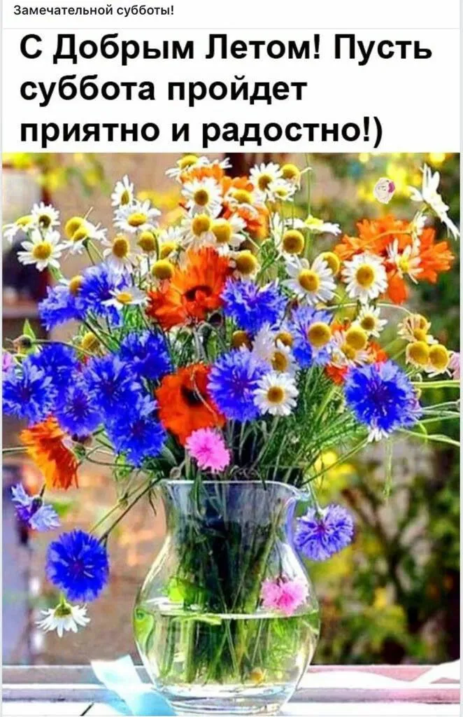 Открытка Открытки на субботу - Букет полевых цветов в вазе: фото для открытки | Красивая открытка #66